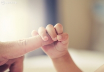 Æ÷Åä°¶·¯¸® À̹ÌÁö